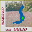 Cons_Oglio